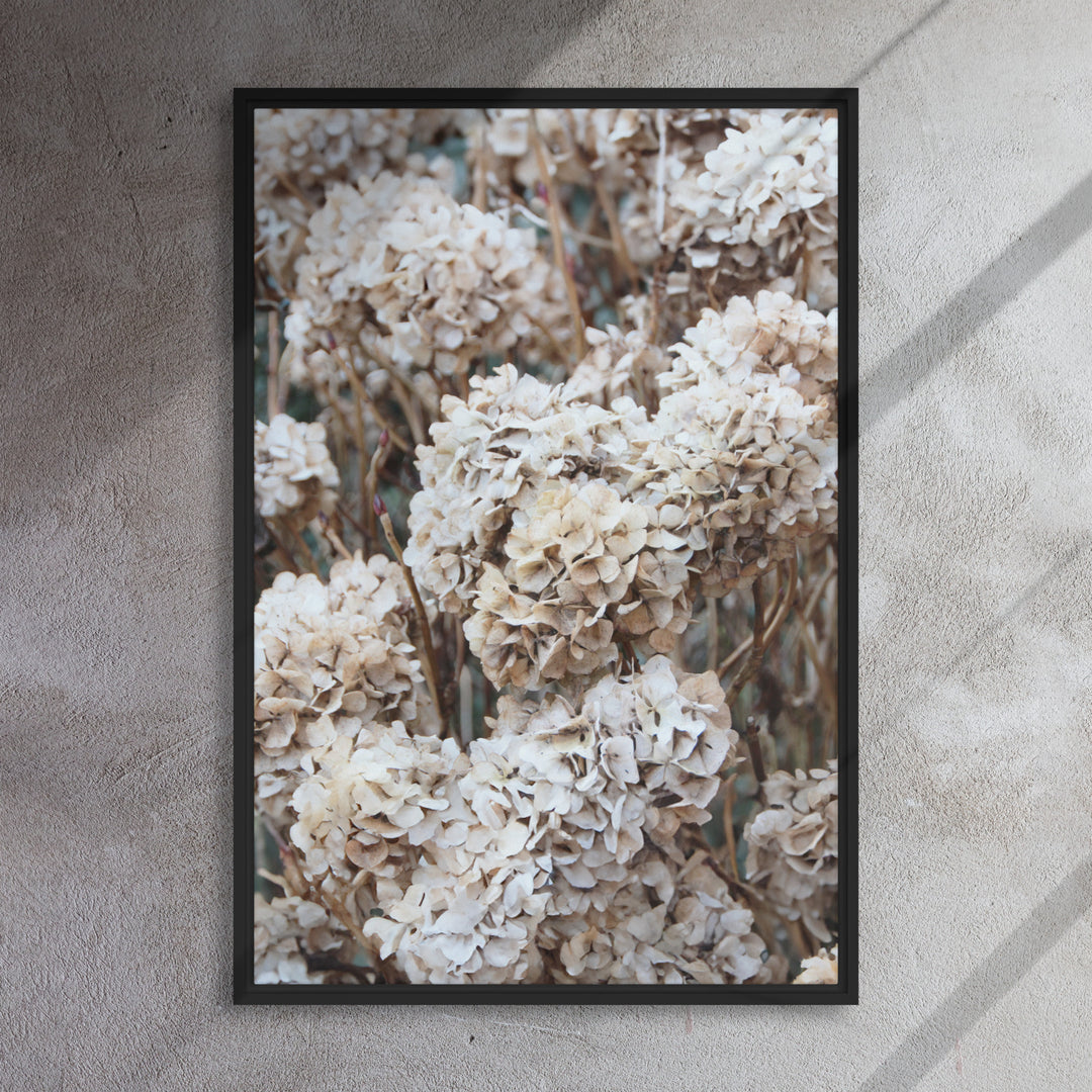 Leinwand - Zeitlose Blumen Hortensien