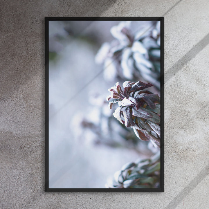 Canvas - Frost on leaves, a moment in nature