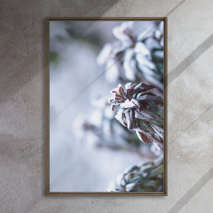 Canvas - Frost on leaves, a moment in nature