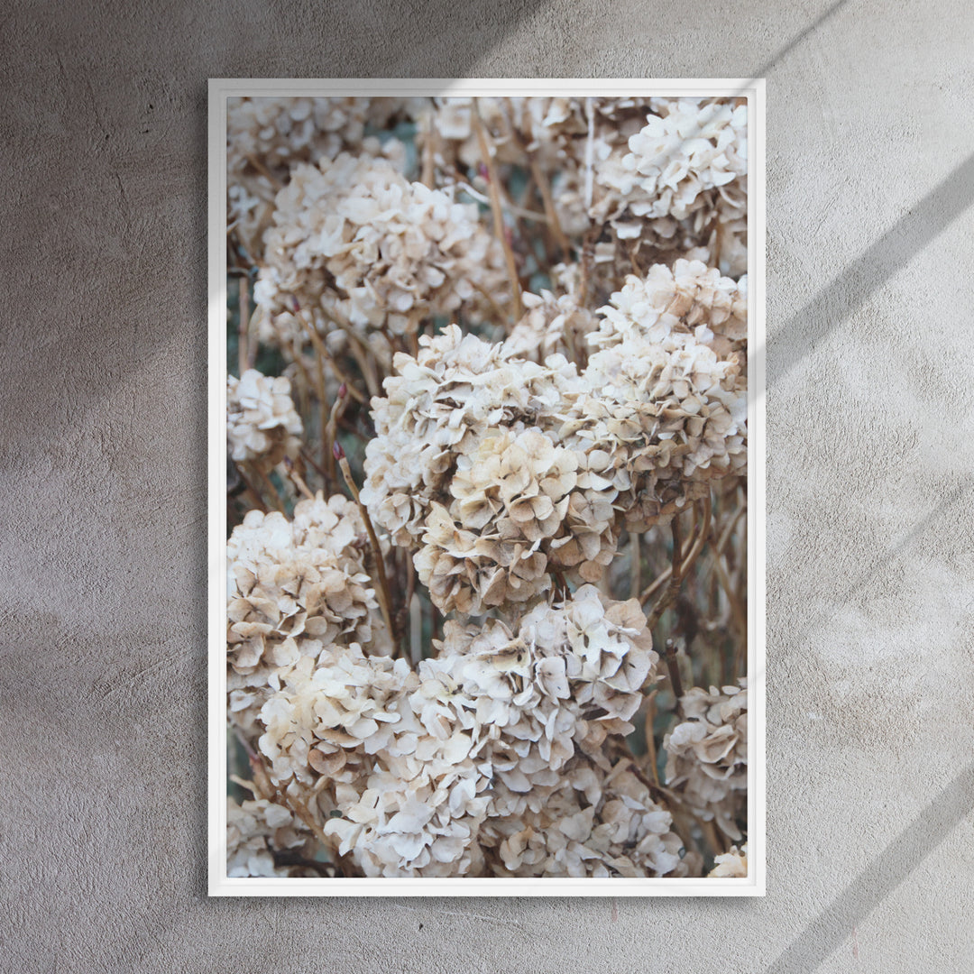 Leinwand - Zeitlose Blumen Hortensien