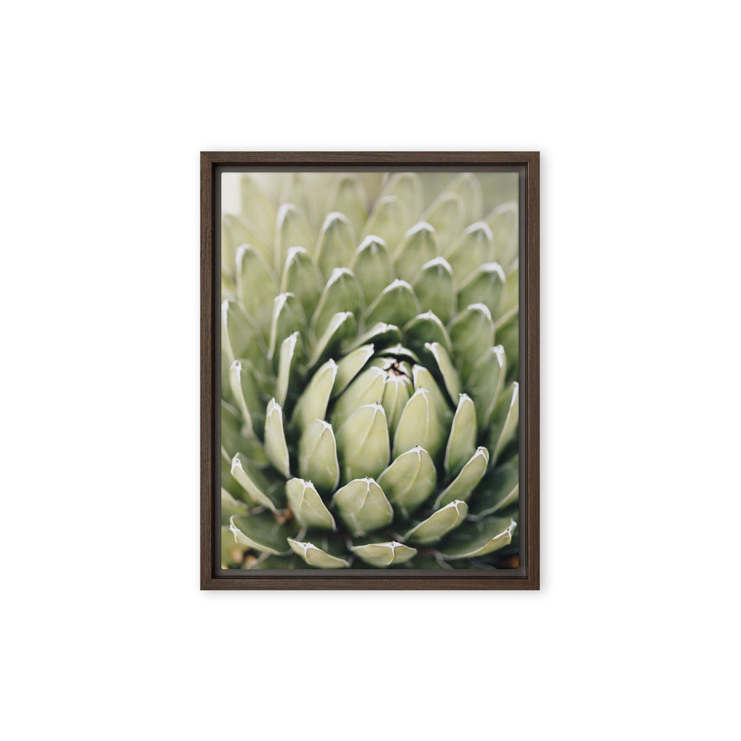 Leinwand - Cactus Flower II Kuratoren von artlia Braun / 31x41 cm (12″×16″) artlia