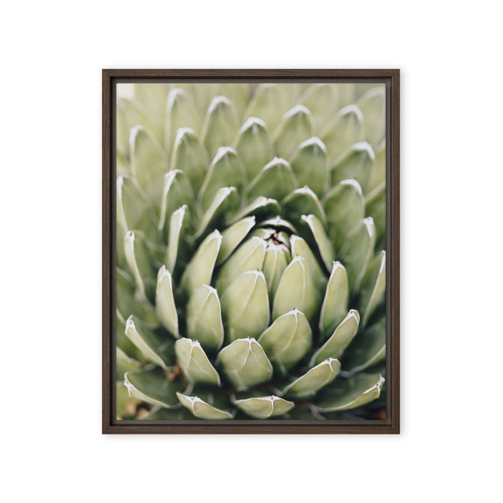 Leinwand - Cactus Flower II Kuratoren von artlia Braun / 41x51 cm (16″×20″) artlia