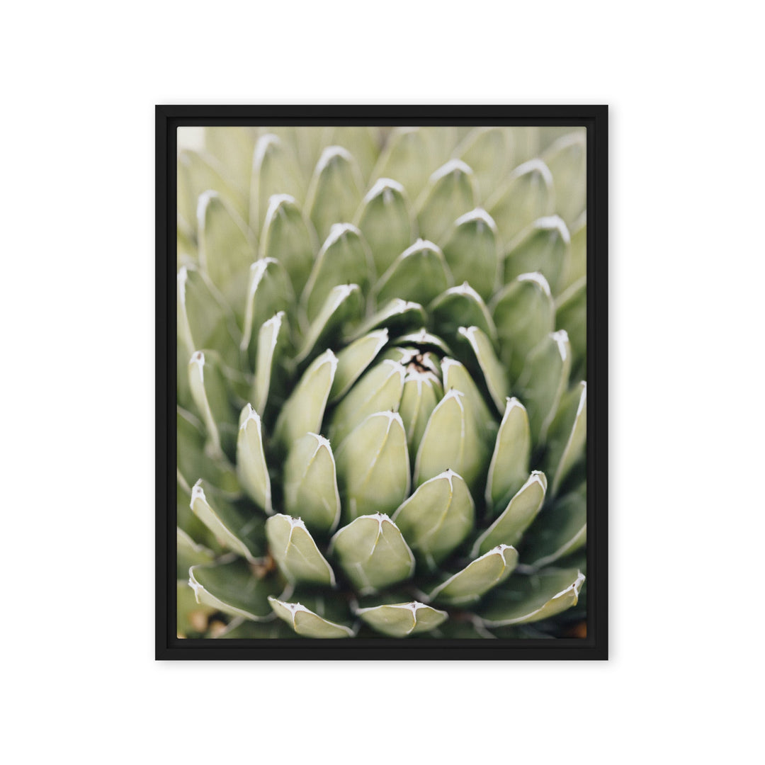 Leinwand - Cactus Flower II Kuratoren von artlia Schwarz / 41x51 cm (16″×20″) artlia