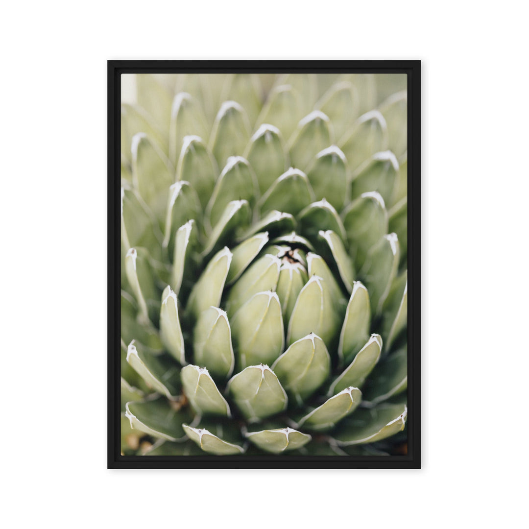 Leinwand - Cactus Flower II Kuratoren von artlia Schwarz / 46x61 cm (18″×24″) artlia