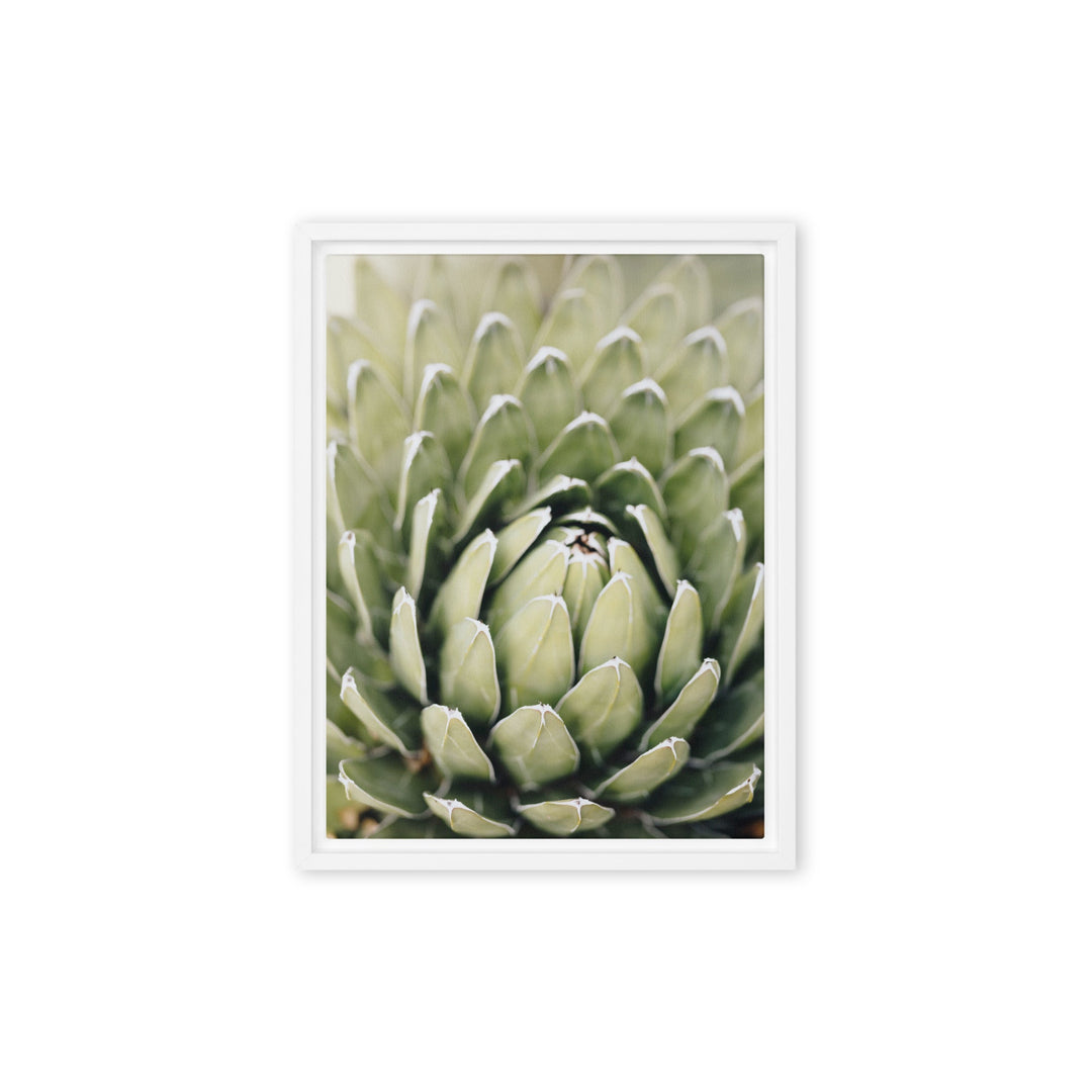 Leinwand - Cactus Flower II Kuratoren von artlia Weiß / 31x41 cm (12″×16″) artlia