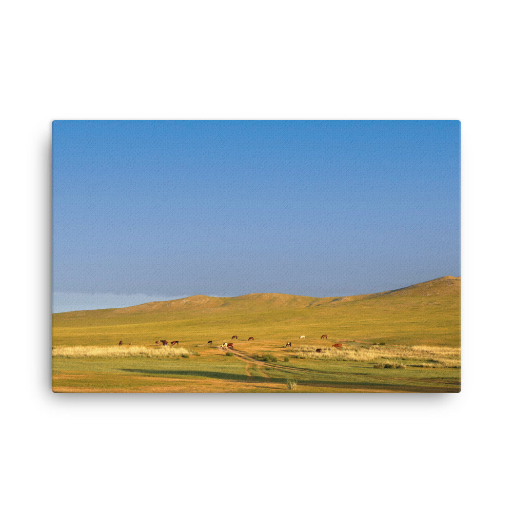 Leinwand - Steppe on a calm morning, Mongolia Young Han Song 61x91 cm artlia