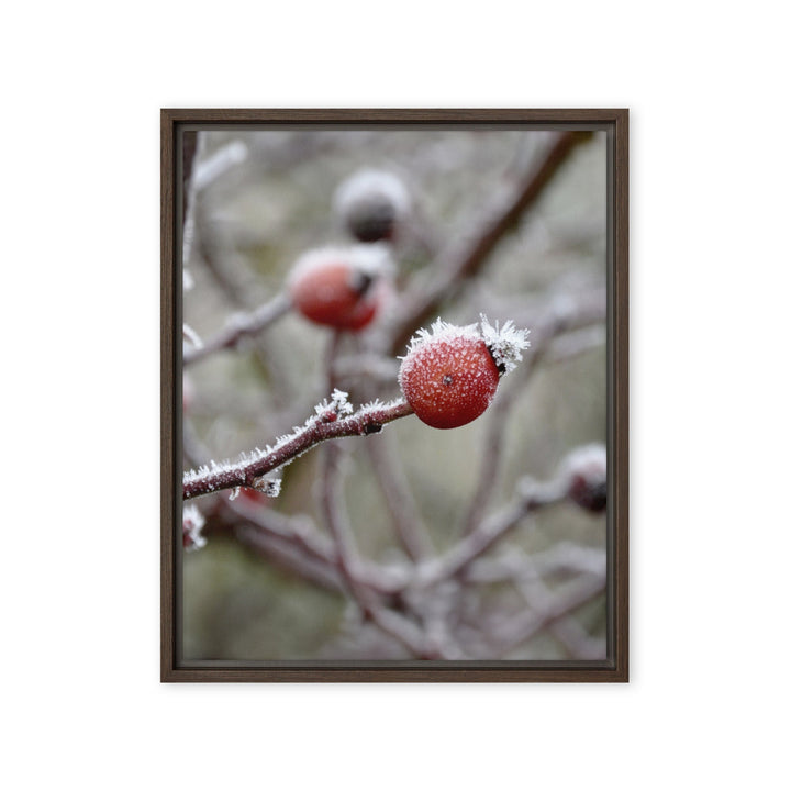 Leinwand - Winterbeeren II Kuratoren von artlia Braun / 41x51 cm (16″×20″) artlia