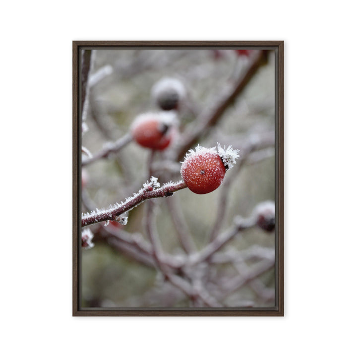 Leinwand - Winterbeeren II Kuratoren von artlia Braun / 46x61 cm (18″×24″) artlia