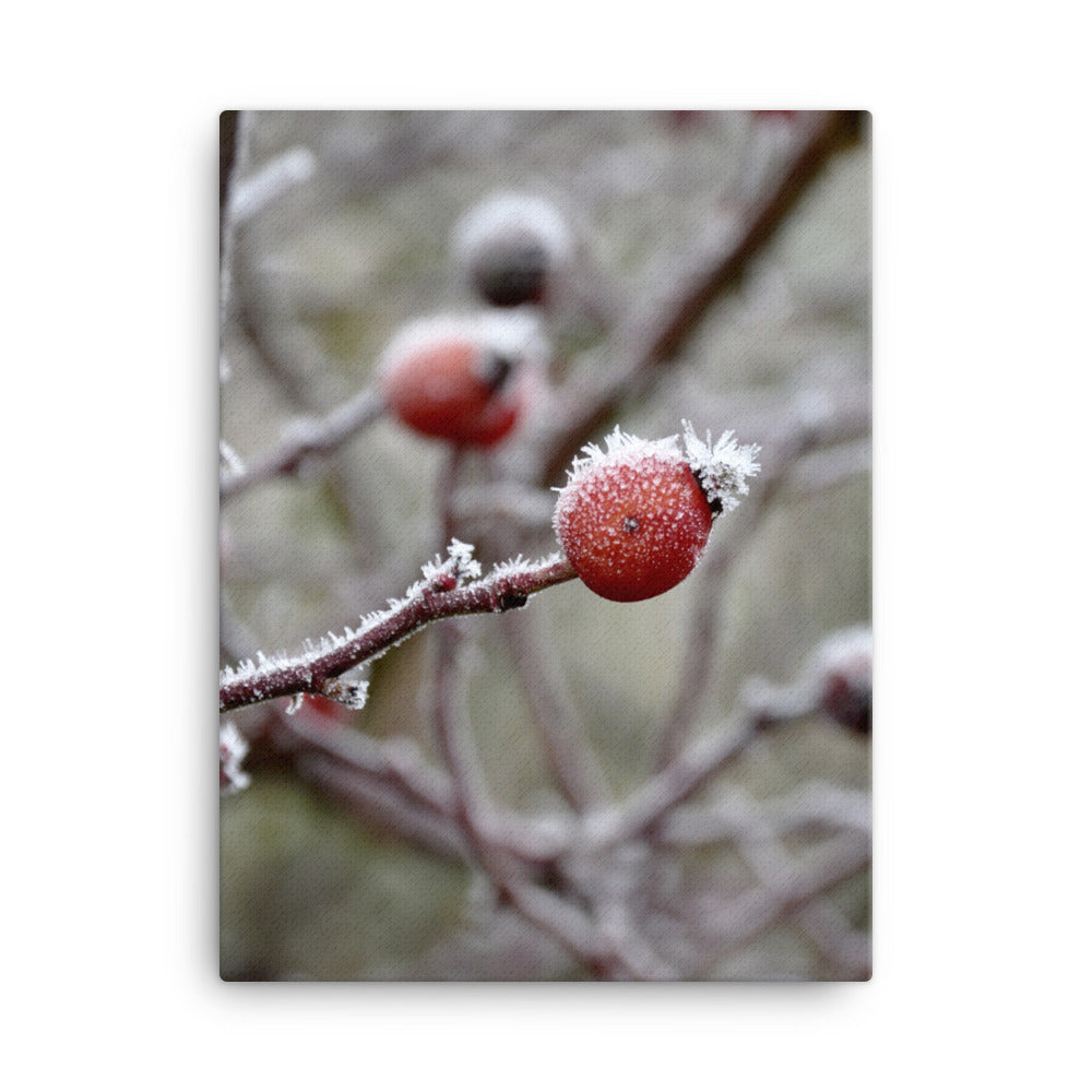 Leinwand - Winterbeeren II Kuratoren von artlia ohne Rahmen / 31x41 cm (12″×16″) artlia