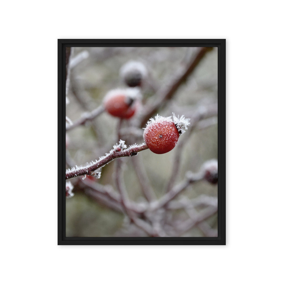 Leinwand - Winterbeeren II Kuratoren von artlia Schwarz / 41x51 cm (16″×20″) artlia