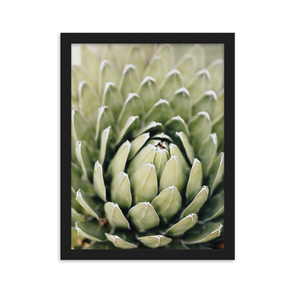 Poster - Cactus Flower II Kuratoren von artlia Schwarz / 30×40 cm artlia