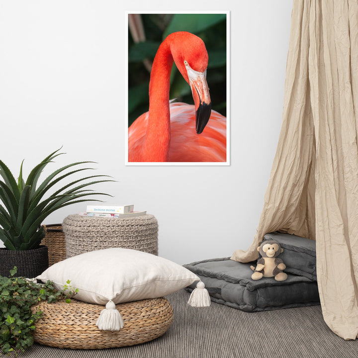Poster - Flamingo, Phoenicopterus Ruber Kuratoren von artlia artlia