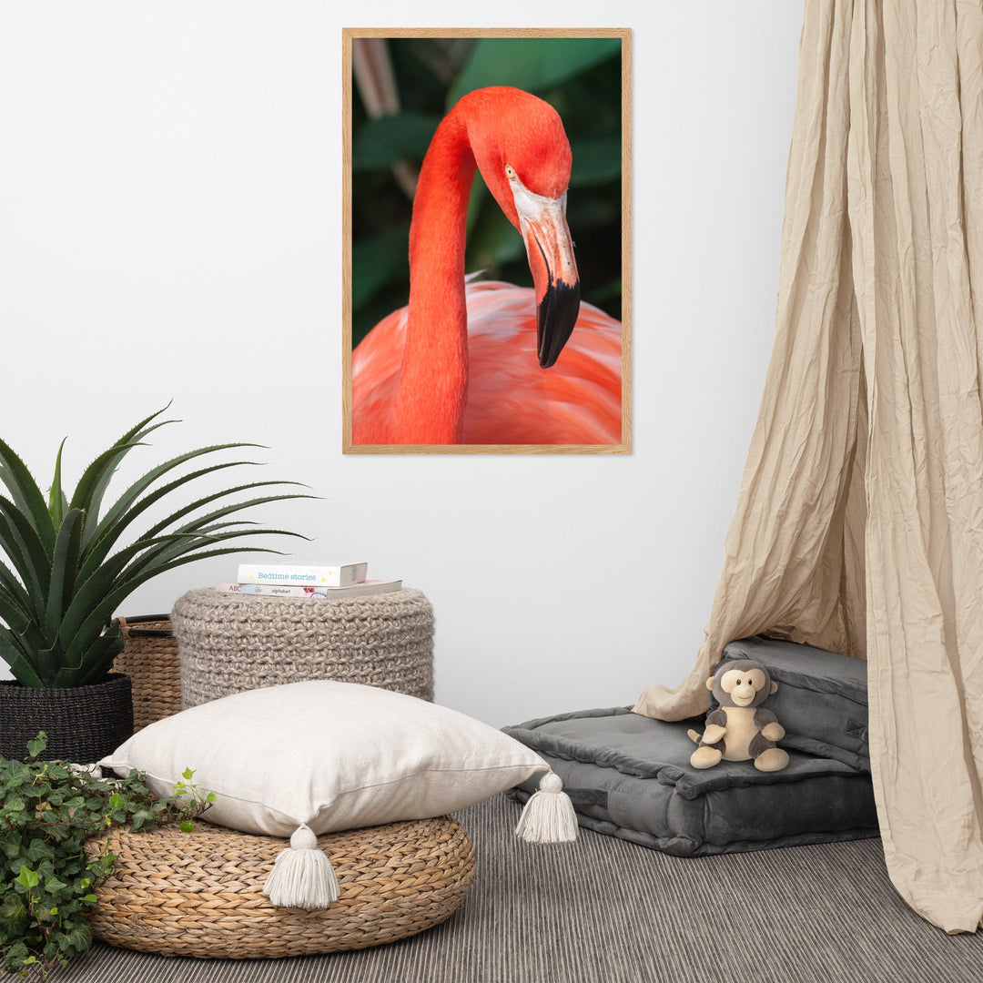 Poster - Flamingo, Phoenicopterus Ruber Kuratoren von artlia artlia