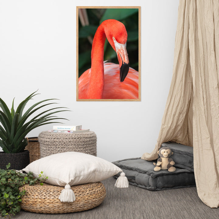 Poster - Flamingo, Phoenicopterus Ruber Kuratoren von artlia artlia