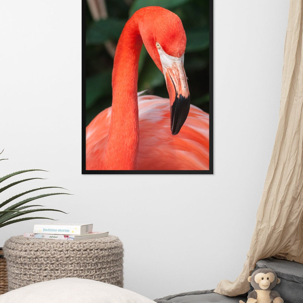 Poster - Flamingo, Phoenicopterus Ruber Kuratoren von artlia artlia