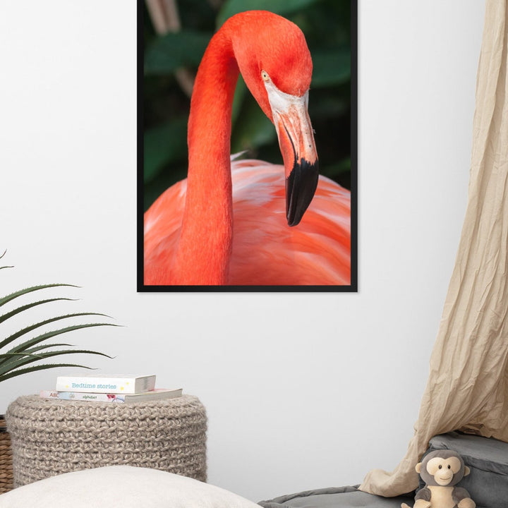 Poster - Flamingo, Phoenicopterus Ruber Kuratoren von artlia artlia