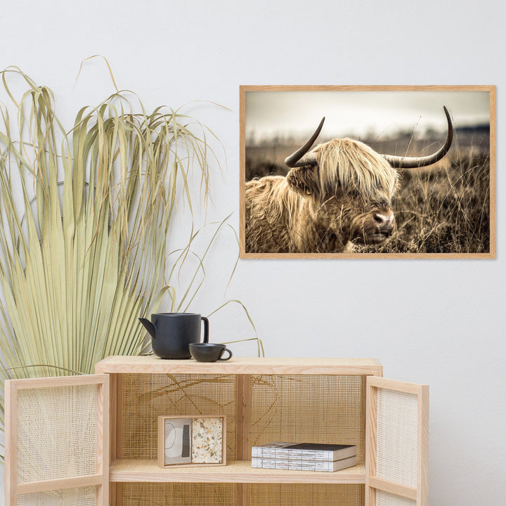 Poster - Highland Cattle Retro Kuratoren von artlia artlia