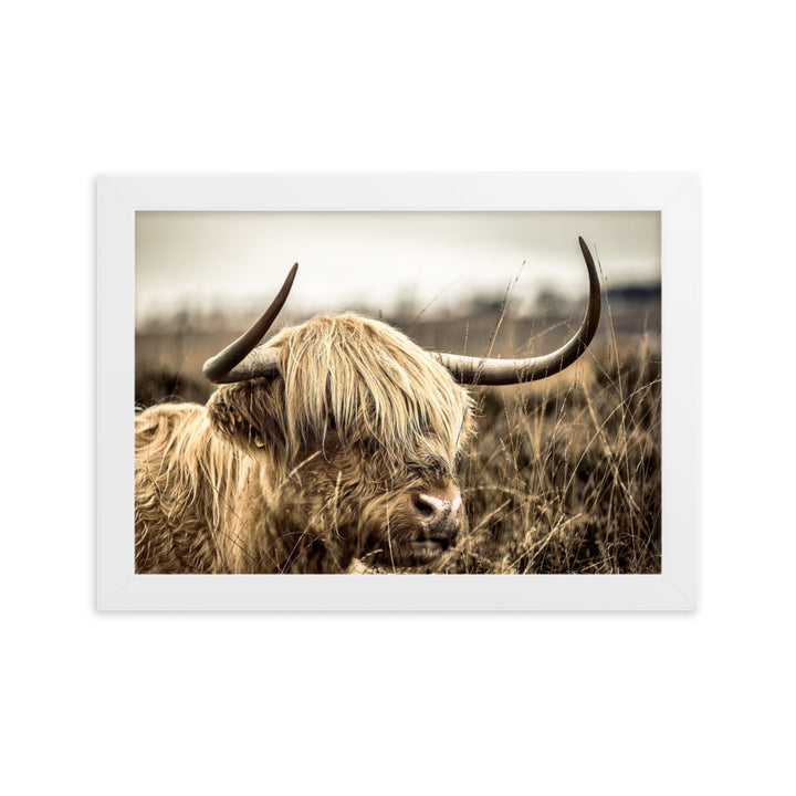 Poster - Highland Cattle Retro Kuratoren von artlia Weiß / 21×30 cm artlia