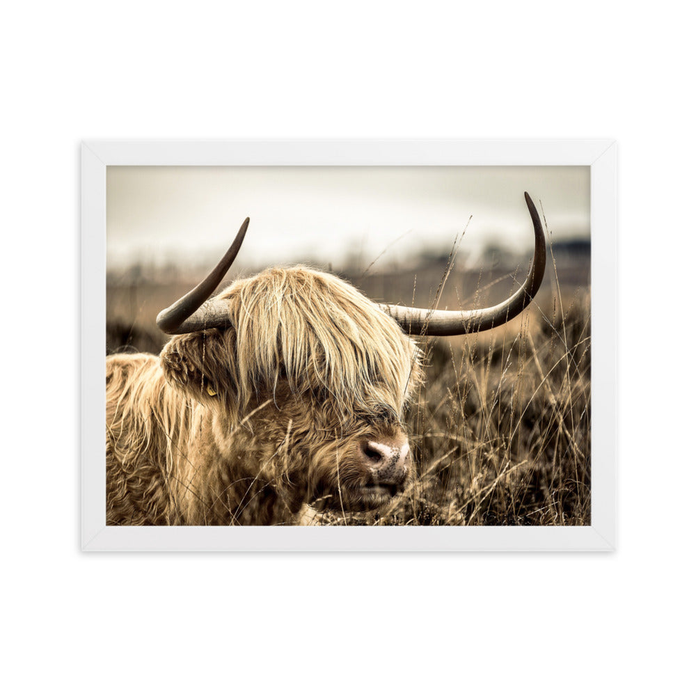 Poster - Highland Cattle Retro Kuratoren von artlia Weiß / 30×40 cm artlia