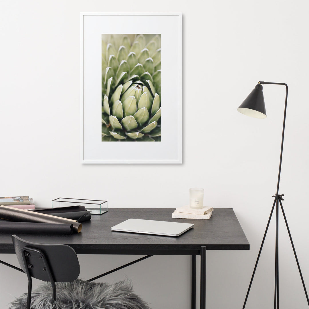 Poster mit Passepartout - Cactus Flower II Kuratoren von artlia artlia