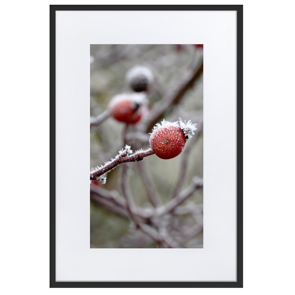 Poster mit Passepartout - Winterbeeren II Kuratoren von artlia Schwarz / 61×91 cm artlia