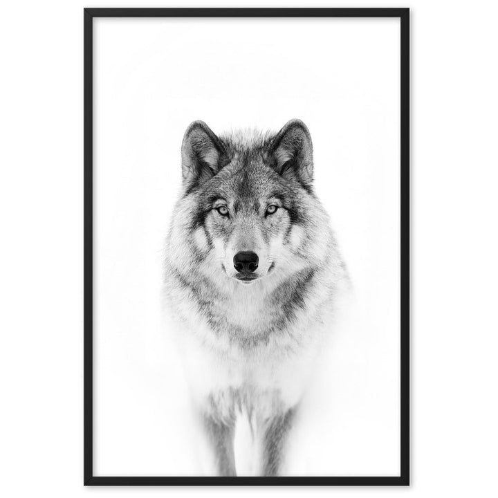 Poster mit Rahmen - Calm Wolf Kuratoren von artlia Schwarz / 61×91 cm artlia