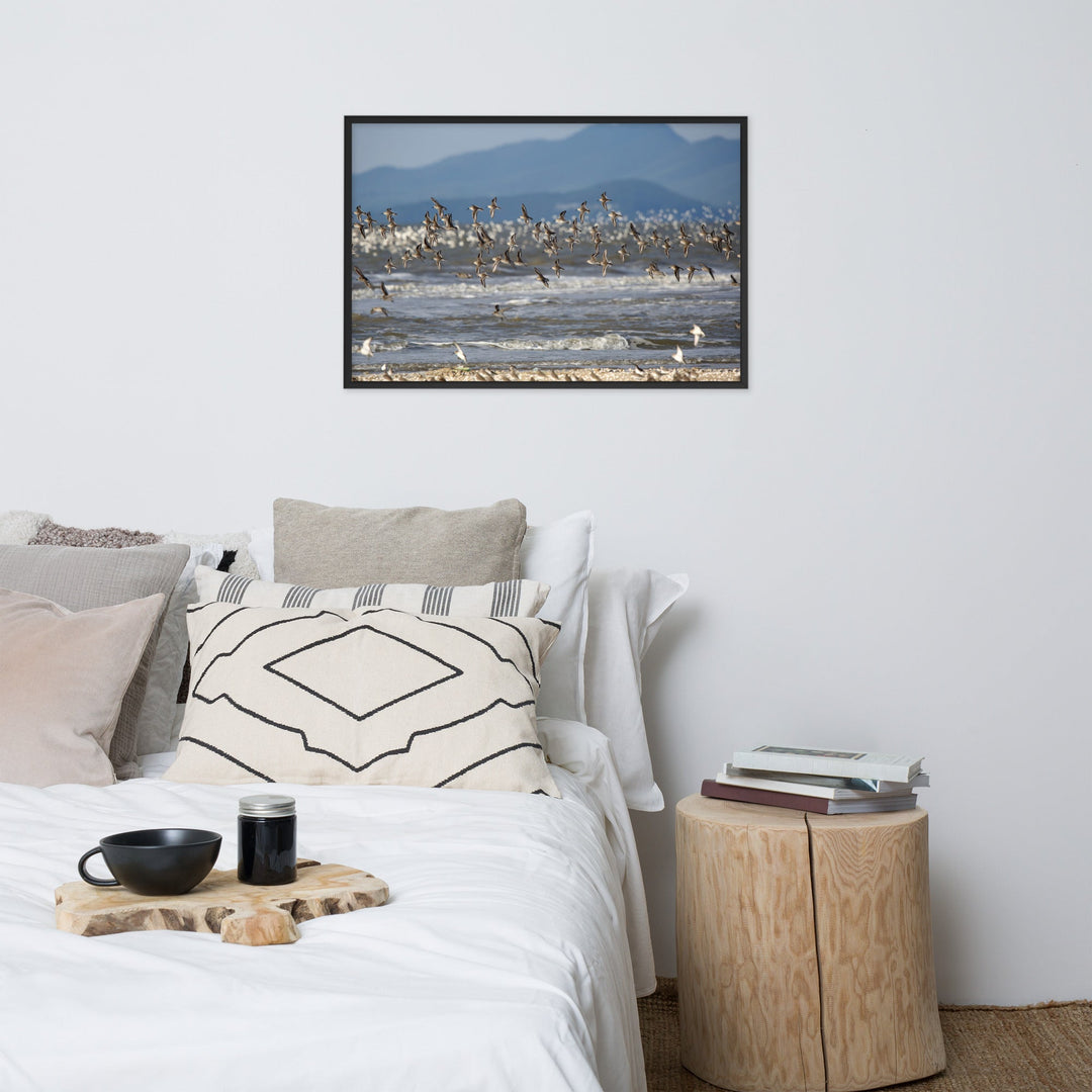 Poster mit Rahmen - Shorebirds Young Han Song artlia