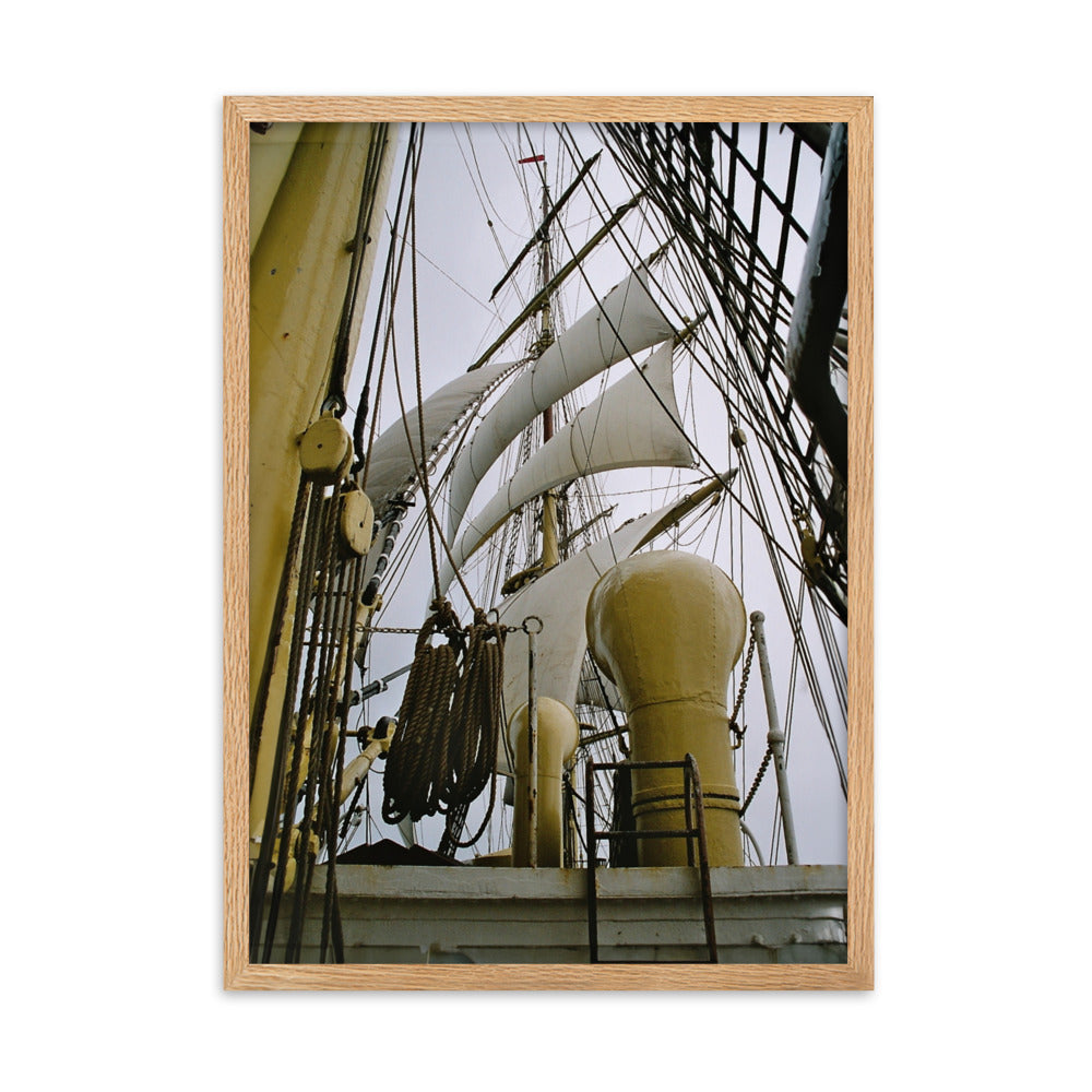 Poster mit Rahmen - Start a new journey Kuratoren von artlia Oak / 50×70 cm artlia