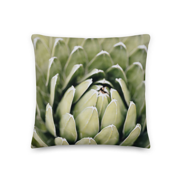 Premium-Kissen - Cactus Flower II 46x46 cm (18″×18″) artlia
