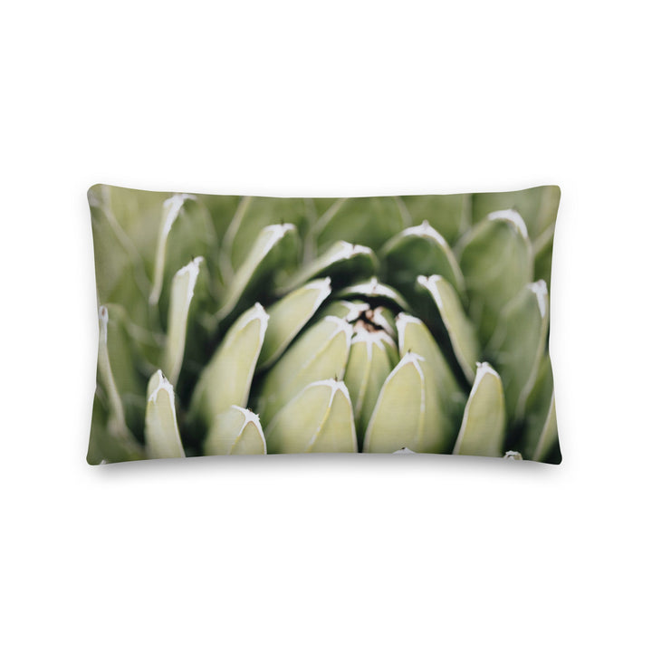 Premium-Kissen - Cactus Flower II 50x30 cm (20″×12″) artlia
