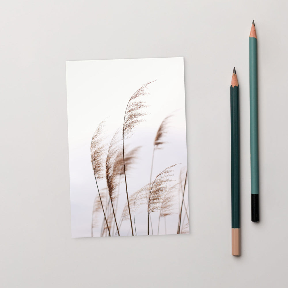 Schilf Reeds 01 - Postkarte ARTLIA artlia