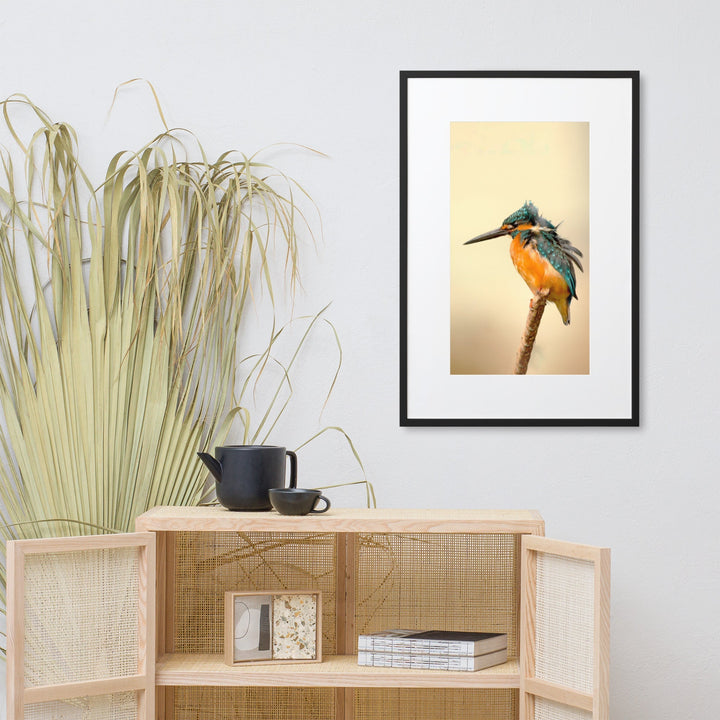 Eisvogel - Poster im Rahmen mit Passepartout Kuratoren von artlia artlia