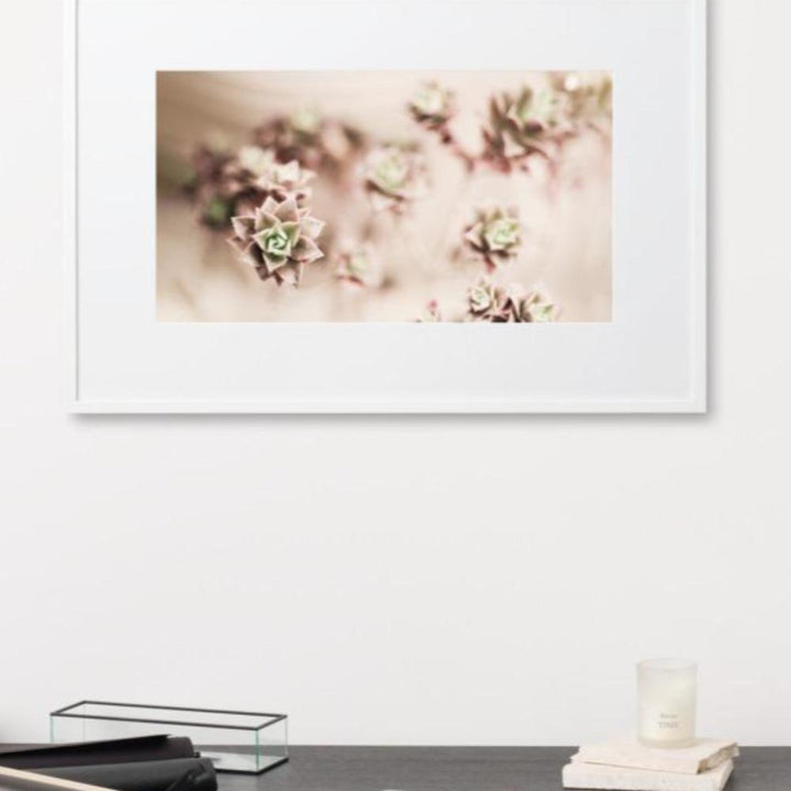 Flower Cactus - Poster im Rahmen mit Passepartout artlia artlia