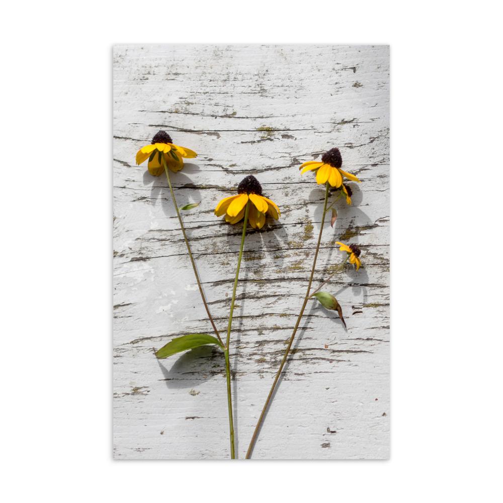 gelbe Blumen yellow flowers 7 - Postkarte artlia artlia