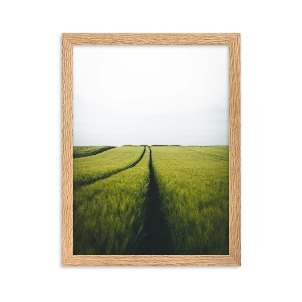 Gerstenfeld barley field - Poster im Rahmen Kuratoren von artlia Oak / 30×40 cm artlia