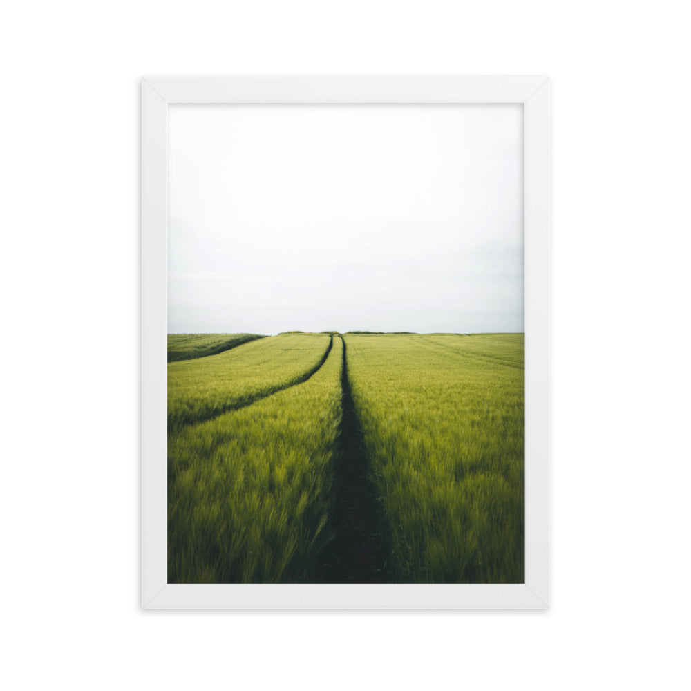 Gerstenfeld barley field - Poster im Rahmen Kuratoren von artlia Weiß / 30×40 cm artlia