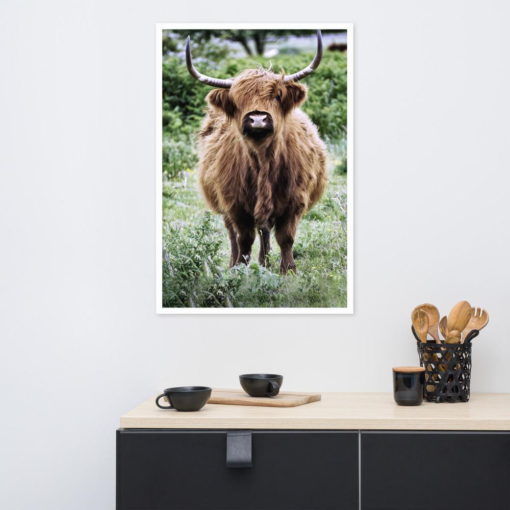 Highland cattle - Poster im Rahmen Kuratoren von artlia artlia