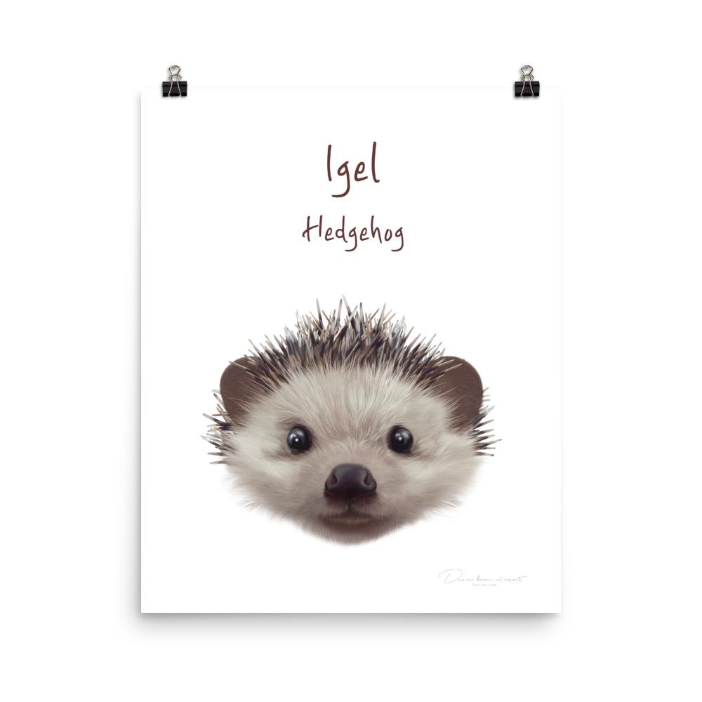 Igel - Tier Poster für Kinder dear.bon.vivant 20x25 cm artlia