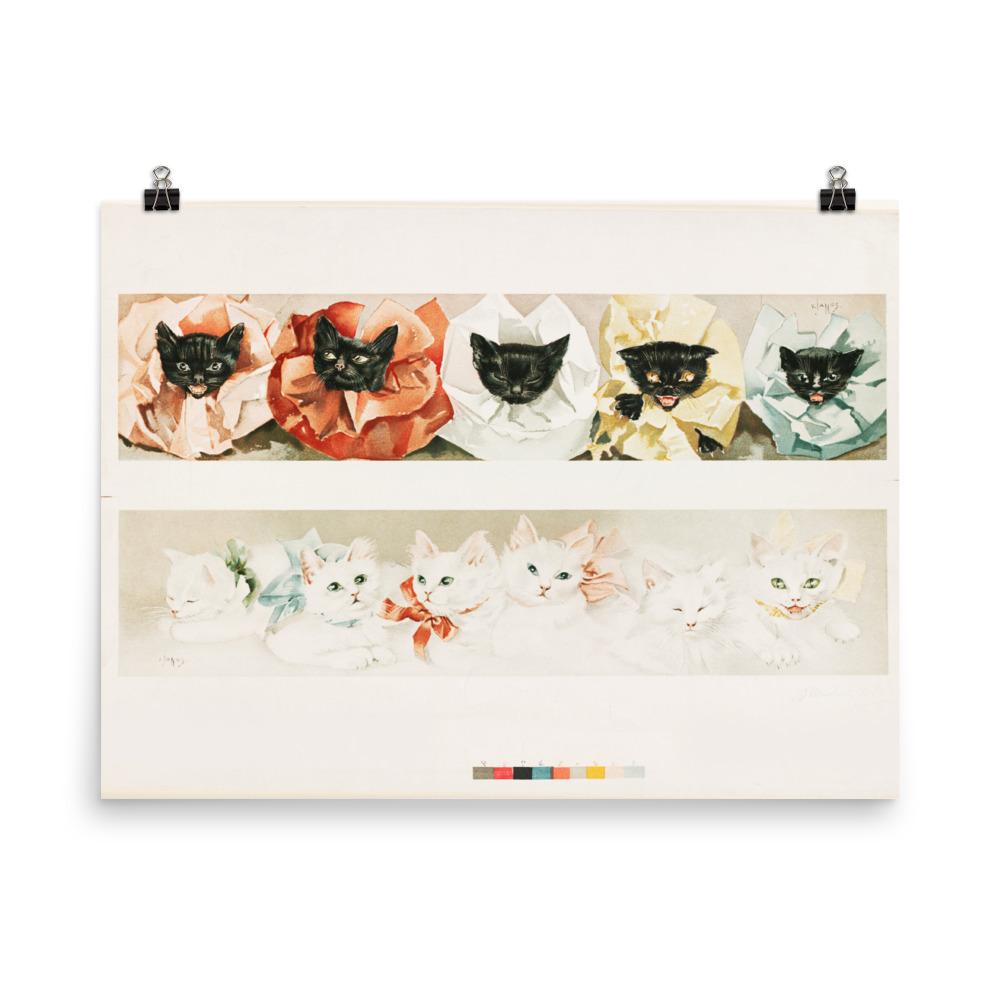 Katzen - Poster Boston Public Library 20x25 cm artlia