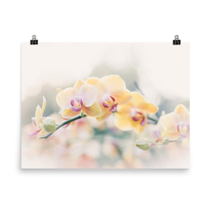 Orchid 01 - Poster artlia 18×24 artlia