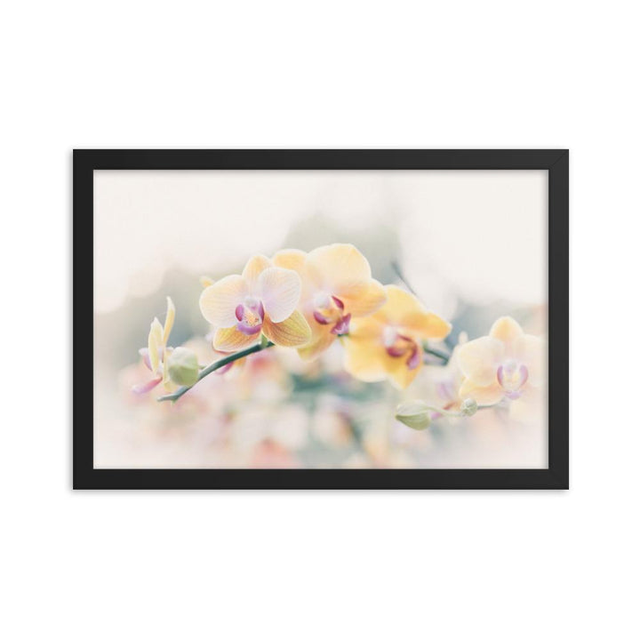 Orchid 01 - Poster im Rahmen artlia Schwarz / 12×18 artlia