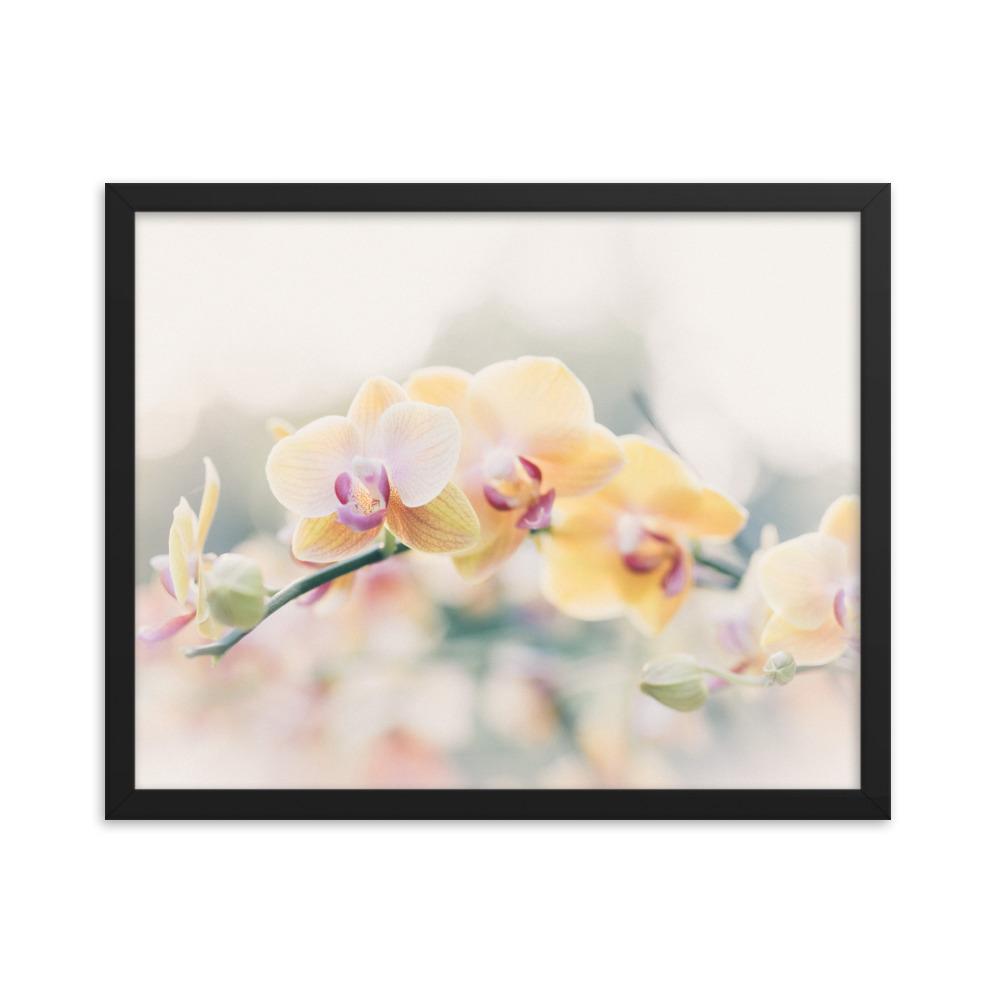 Orchid 01 - Poster im Rahmen artlia Schwarz / 16×20 artlia