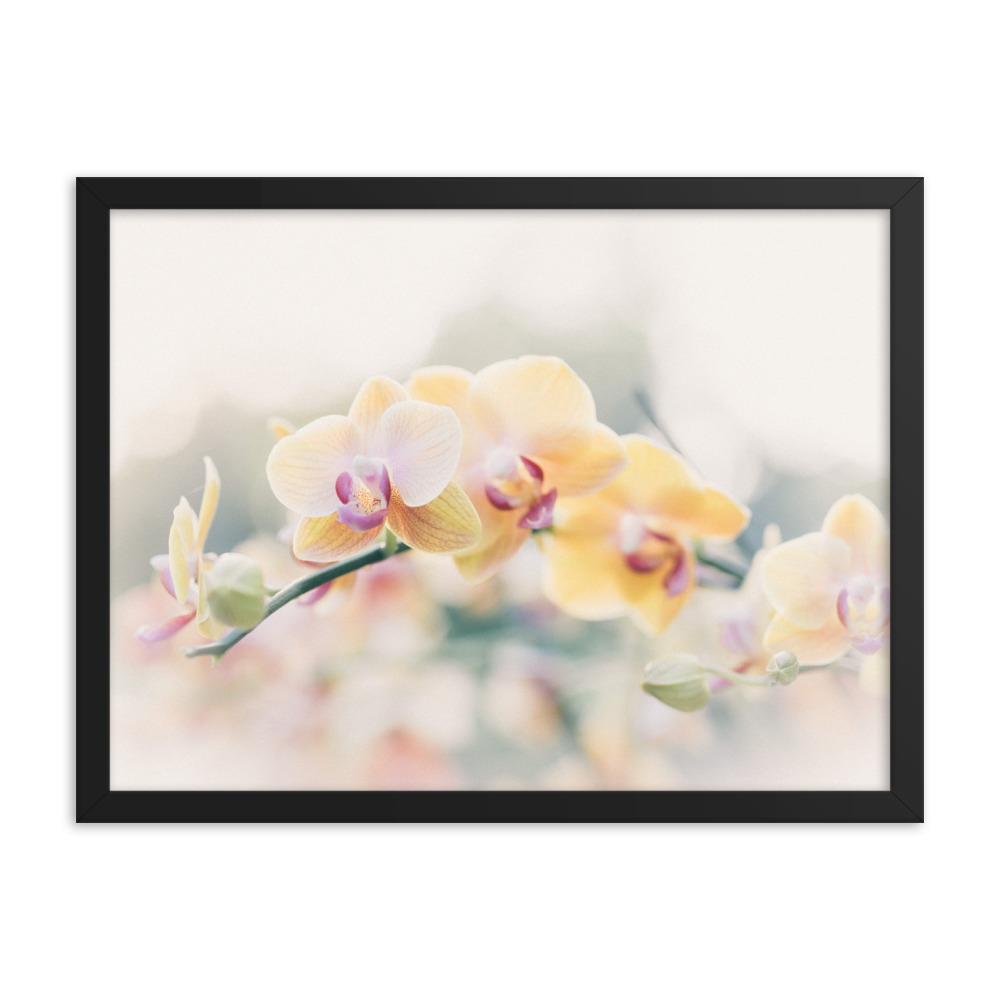 Orchid 01 - Poster im Rahmen artlia Schwarz / 18×24 artlia