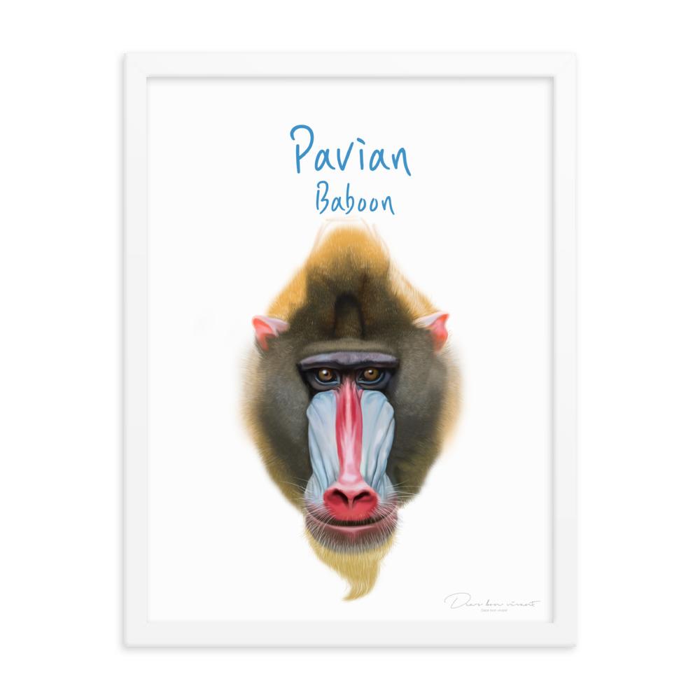 Pavian - Poster im Rahmen für Kinder dear.bon.vivant weiß / 30x41 cm artlia