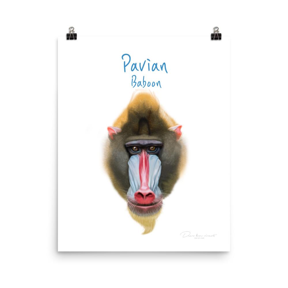 Pavian - Tier Poster für Kinder dear.bon.vivant artlia