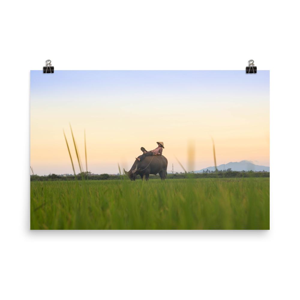 Peaceful Evening - Poster artlia 24×36 artlia