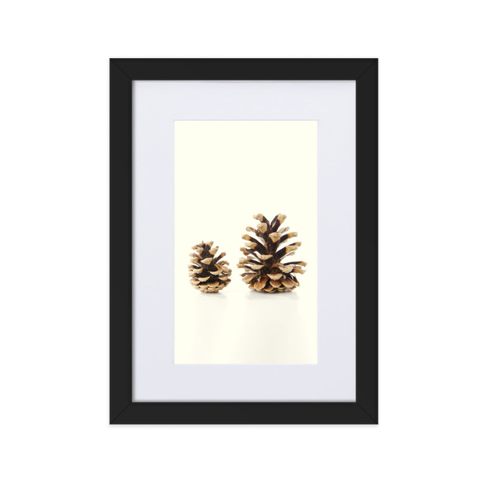 Pine Cone - Poster im Rahmen mit Passepartout Kuratoren von artlia Schwarz / 21×30 cm artlia