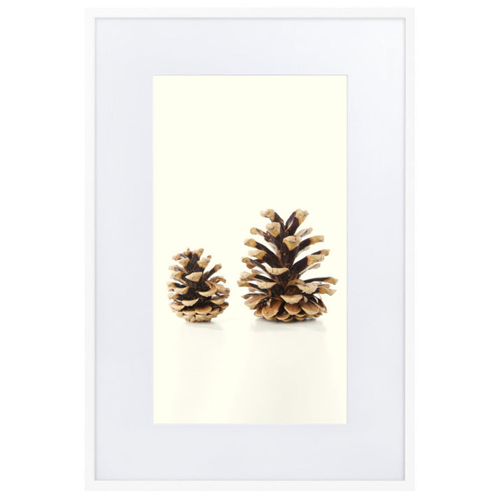 Pine Cone - Poster im Rahmen mit Passepartout Kuratoren von artlia Weiß / 61×91 cm artlia