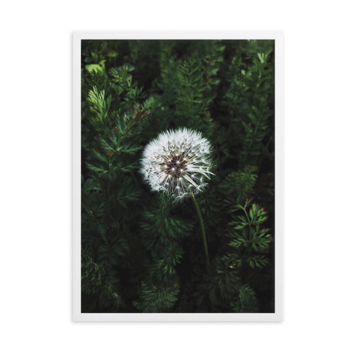 Poster mit Rahmen - Pusteblume Kuratoren von artlia Weiß / 50×70 cm artlia