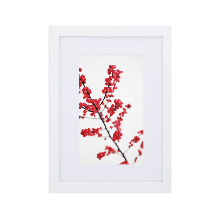 Red Berries - Poster im Rahmen mit Passepartout Kuratoren von artlia Weiß / 21×30 cm artlia